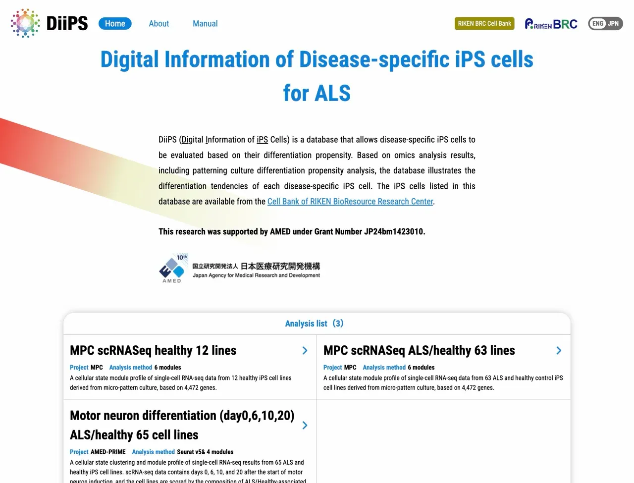 DiiPS - Front